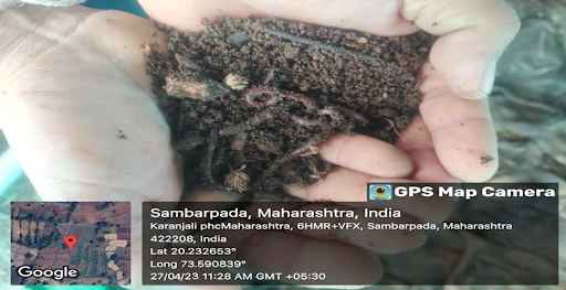 Vermicomposting Project Image