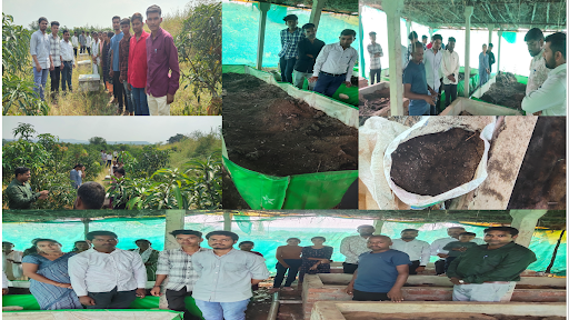 Final Vermicompost Product